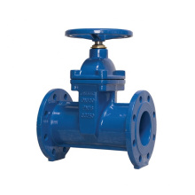 DIN 3352 F5 /EN 1171 Flanged Resilient Gate Valve With Non Rising Stem